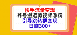 快手流量变现绝密教程，引导跳转群变现日赚300+-欢迎访问本站