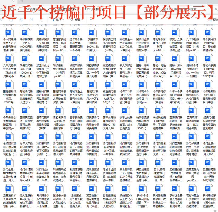 图片[2]-1000个冷门捞偏门小本创业小项目【无水印绝密版】总有一款适合你
